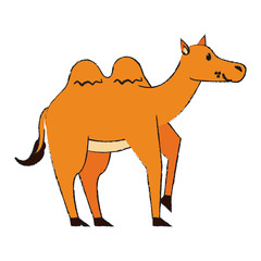 Cute camel cartoon icon vector illustration graphic design