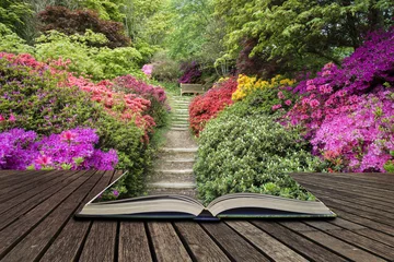 Rugzak Beautiful vibrant landscape image of footpath border by Azalea flowers in Spring in England concept coming out of pages in open book © veneratio