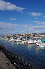 Fototapeta na wymiar 漁港 （愛媛県西条市）
