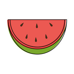 fresh watermelon isolated icon vector illustration design