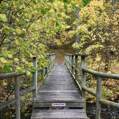 Sch&ouml;ne Br&uuml;cke