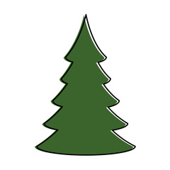 pine tree plant isolated icon vector illustration design