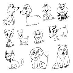 Fototapeta premium Doodle funny dog