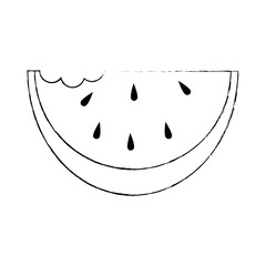 fresh watermelon isolated icon vector illustration design