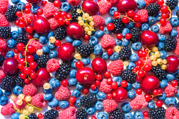 Summer fruit and berries. 6 types of raw organic farmer berries - raspberries blackberries blueberries strawberries red currants gooseberries.