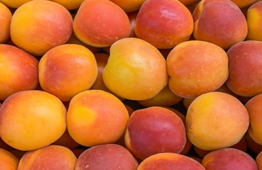 Apricots