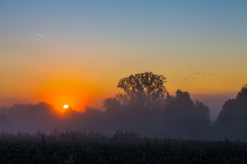 idyllischer Sonnenaufgang mit Nebel