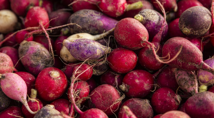 Random assortment of colorful radish