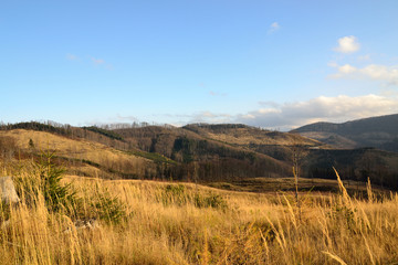 Fototapeta premium Slovakia - Nature