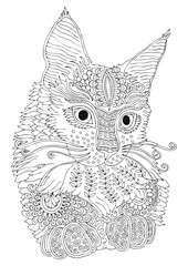 Hand drawn kitty. Sketch for anti-stress adult coloring book in zen-tangle style. Vector illustration for coloring page.