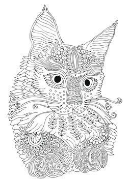 Hand drawn kitty. Sketch for anti-stress adult coloring book in zen-tangle style. Vector illustration for coloring page.