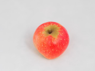 fruit