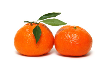 Tangerine or clementine with green leaf