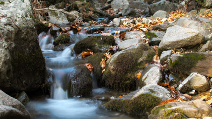 Water stream in the Dirfis mountain in Evia Greece