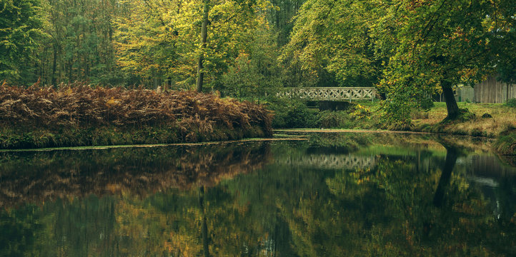 Pond with bridge in autumn forest. Wildlifepark Dulmen, Germany.
