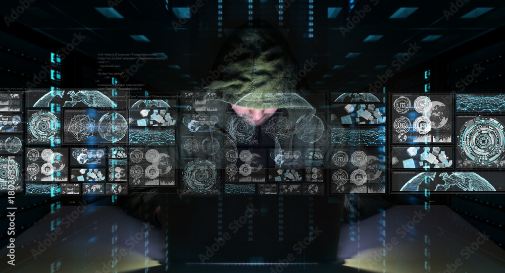 Leinwandbilder Hacker accessing to personal data information with a computer 3D rendering