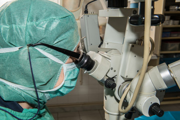 Ophtalmologie vétérinaire, préserver les yeux des animaux  comme les humains.