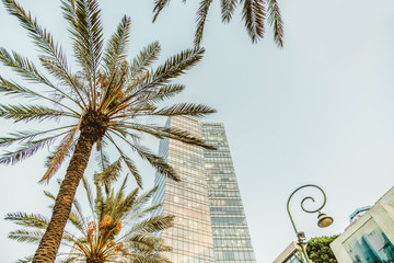 Israeli office high urban building in Tel-Aviv. Rothschild boulevard. Travel city and business center © GotovyyStock