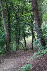 Czech Republic - Mělník