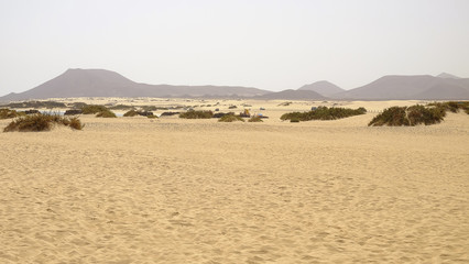 Natural park of Corralejo on Fuerteventura, Canary Islands