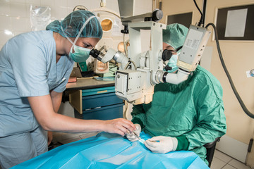 Ophtalmologie vétérinaire, préserver les yeux des animaux  comme les humains.