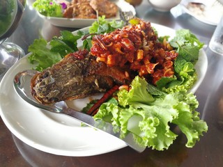 Fried fish with mixed herb., thai food