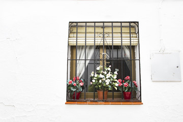  ventanas con barrotes de hierro forjado , persiana y macetas con flores en una facha de pared blanca encalada. © tingitania