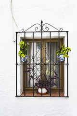 ventana con barrotes de hierro forjado y tres macetas con flores en una facha de pared blanca encalada. © tingitania