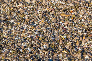 Sea stones on the beach in the summer