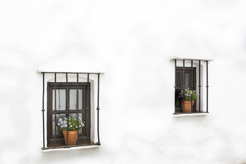 dos ventanas con barrotes de hierro forjado y macetas con flores en una facha de pared blanca...