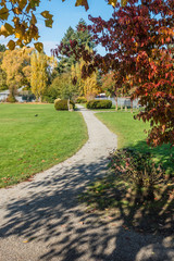 City Park In Autumn 6