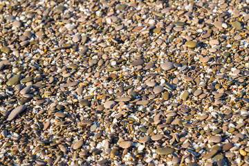 Sea stones on the beach in the summer