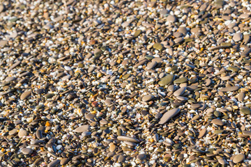Sea stones on the beach in the summer