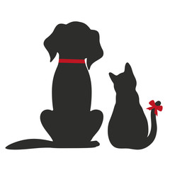 dog and cat on white background