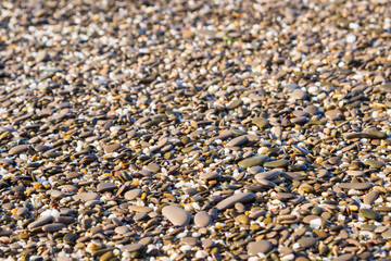 Sea stones on the beach in the summer