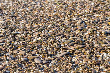 Sea stones on the beach in the summer