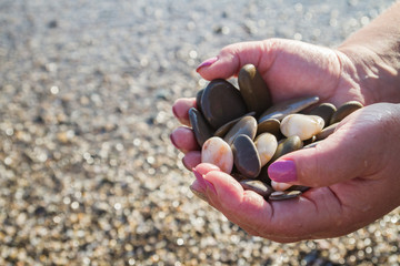 Sea stones in hands on the beach in the summer