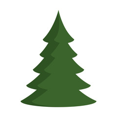 pine tree plant isolated icon vector illustration design
