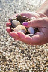 Sea stones in hands on the beach in the summer