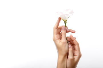 Female hands holding a flower on a white background. Manicure