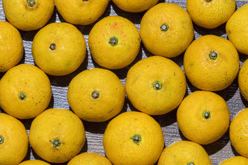 The mandarin orange (Citrus reticulata; Chinese: 橘子 or 桔子; pinyin: júzi), also known as the mandarin or mandarine, is a small citrus tree with fruit resembling other oranges.