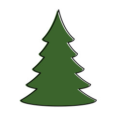 pine tree plant isolated icon vector illustration design