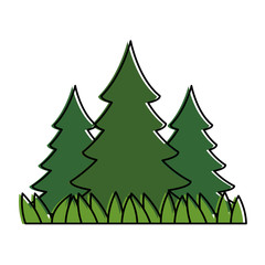 pine forest scene icon vector illustration design