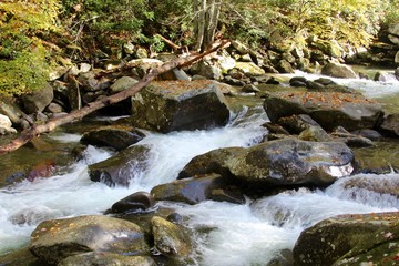 Obraz premium The mountain stream in the mountains of Tennessee.