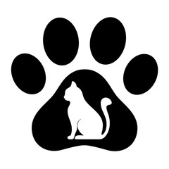 trail with a cat on a white background