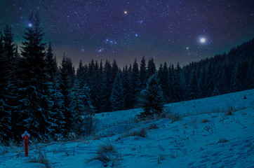 Fototapeta premium Beautiful night in winter. Mountain landscape