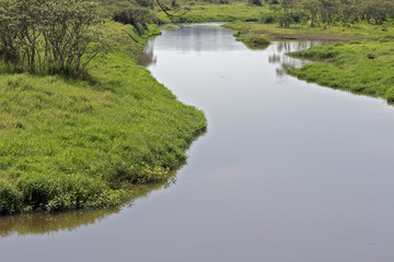 Fototapeta na wymiar A river running quietly among green field