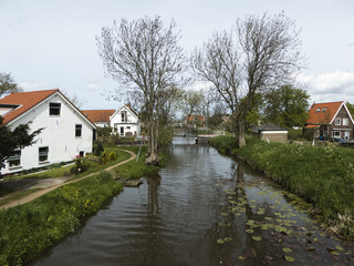 Fototapeta na wymiar Région de Maasland (Pays Bas)
