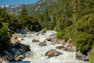 Merced River landscape in Yosemite