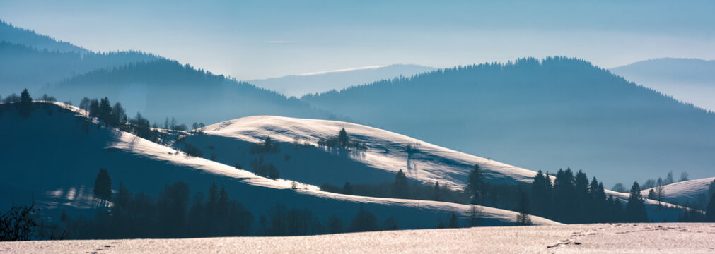 gorgeous winter panorama of snowy rolling hills. beautiful landscape with forested mountains in a distance